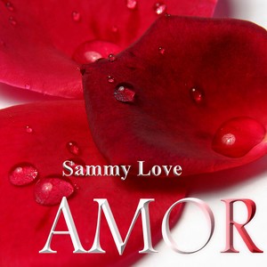 Amor (Radio Edit)