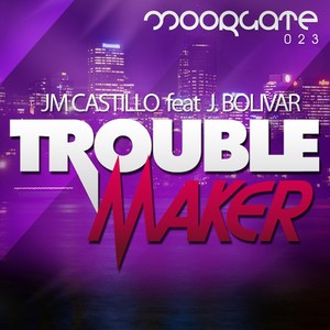 Troublemaker (Radio Edit)