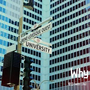 辛文 - Why (With Lixii)