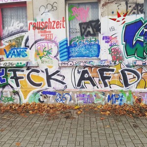 Fick die afd (Explicit)