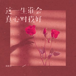 这一生谁会真心对我好 (伴奏)