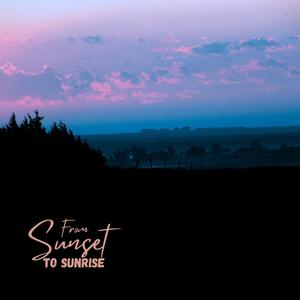 Coyotes in the Distance (Without Nature Sounds)