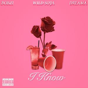 I know(feat. Wild Soja & Dreama_x) (Explicit)
