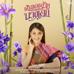 ฝันของอ้ายมีไผเป็นนางเอก - Single