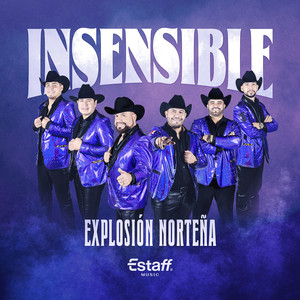Insensible (Clean)