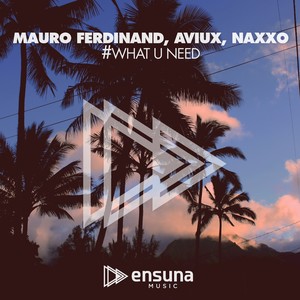 What U Need (Original Mix)