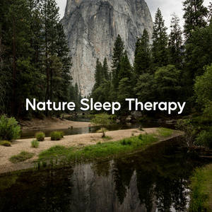 Tranquil Therapy Sleep