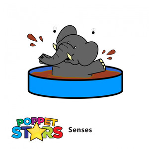 Senses