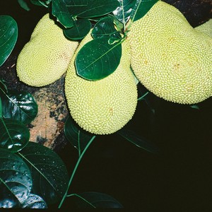 就像明天的雨还是会下起