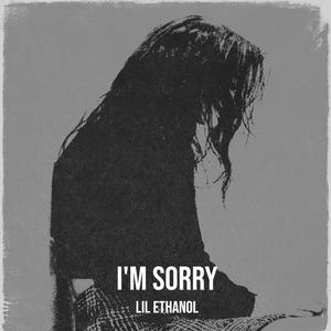 I'm Sorry (Explicit)