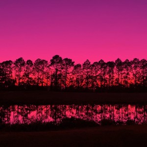 HMB(Shwevs flip) (Explicit)