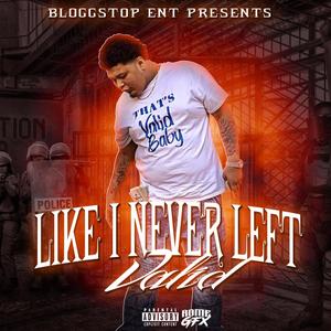 Back like I Never Left (Explicit)