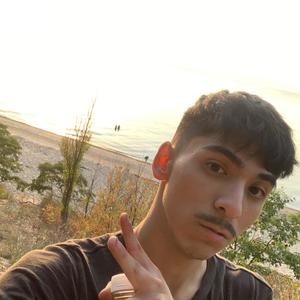 Fire choir & the willowed forest where the good wind blows for optimal weather