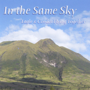 Same Sky: Eagle and Condor Flying Together