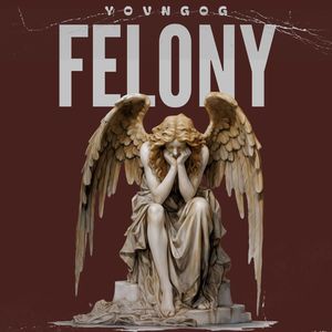 Felony (Explicit)