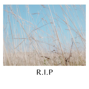 R.I.P (Explicit)