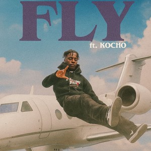 FLY (Explicit)
