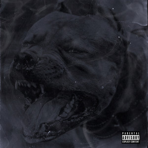 Голова (Explicit)