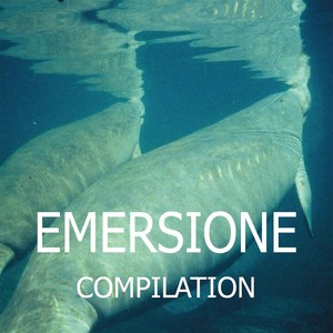 Emersione