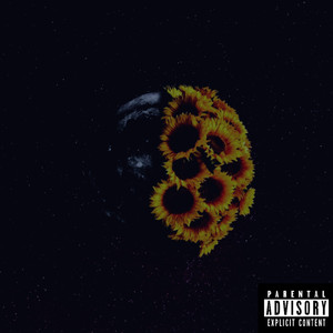 Run Forest (Explicit)