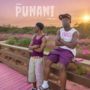 Punani (feat. Erneswrld)