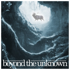 beyond the unknown