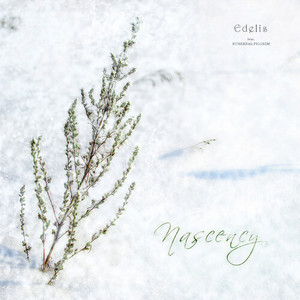 Nascency(feat. Ethereal Pilgrim)