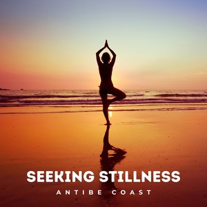 Seeking Stillness