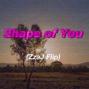 Shape of You (ZzaJ Flip)