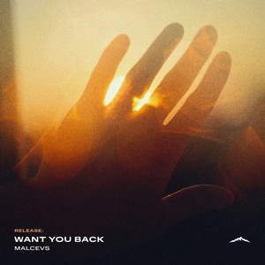 Want You Back