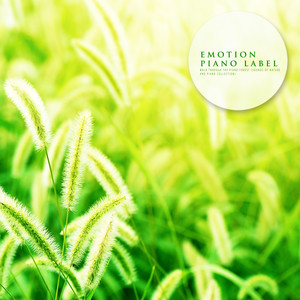 피어나라 (In Bloom) (Nature Ver.)