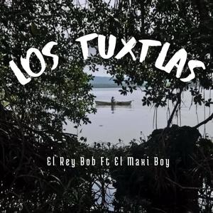 LOS TUXTLAS (feat. El Maxi Boy) [Explicit]