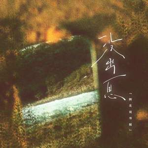 没出息 (本来应该从从容容游刃有余) (陕北说书版)