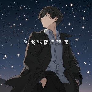 寂寞的夜里想你 (烟嗓版)