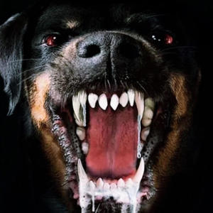 Pop **** (feat. GTM_JUJU) (Explicit)