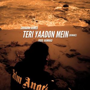 Teri Yaadon Mein (Remake) (feat. HAMMAD) (Explicit)