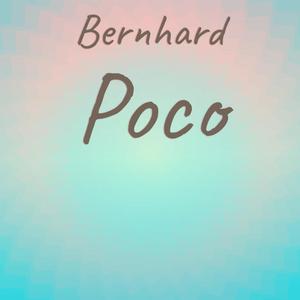 Bernhard Poco