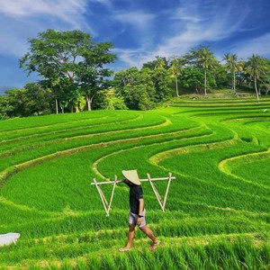 Mari Bergoyang