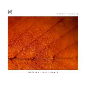 Leaf Crackle (Radio Edit)