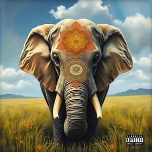 Through (feat.BabyRxxd & CooLaid) (Explicit)