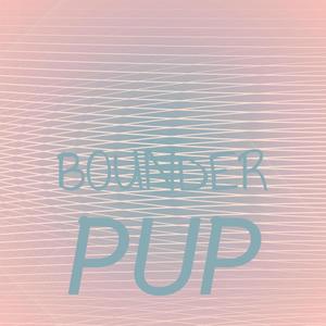 Bounder Pup