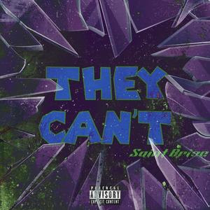 They Cant (Explicit)