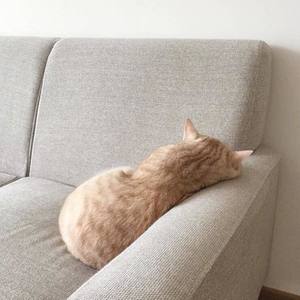 默——记《伪装者》