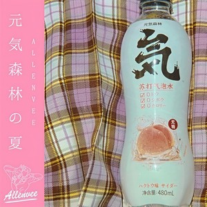 ラ・ムー -元気森林の夏 (allenvee remix)