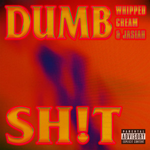 DUMB SH!T (Explicit)