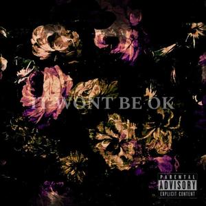 IT WONT BE OK (slowed + reverb) (Explicit)