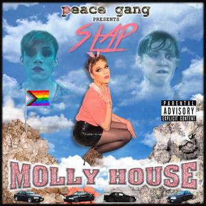 The End (Molly & Karnage) (feat. Karnage Kills) (Explicit)
