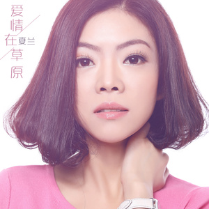 夏兰 - 现在的你 (DJ版)