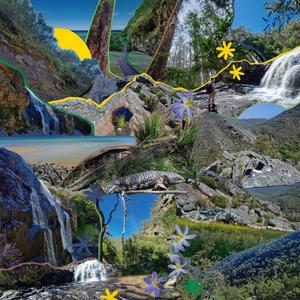 The Beauty I Learnt To See