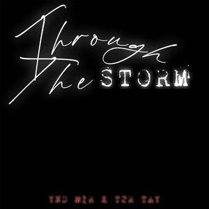 Through The Storm (Explicit)